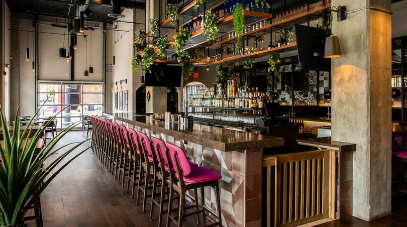 Modern bar area with pink stools, a fully stocked bar, and hanging plants, next to a dining space.