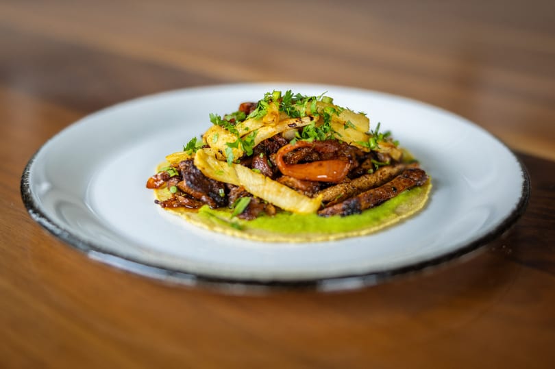 A single taco on a white plate, filled with meat, fries, and green sauce, garnished with parsley.